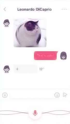 怎么去攻击一个网站与防护软件程序维护界面